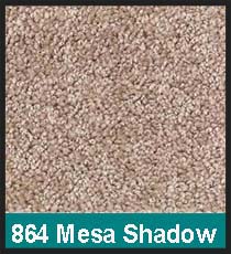 864 Mesa Shadow